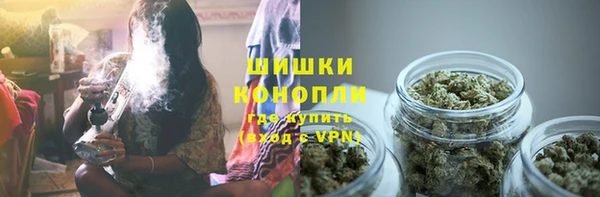 бошки Алзамай