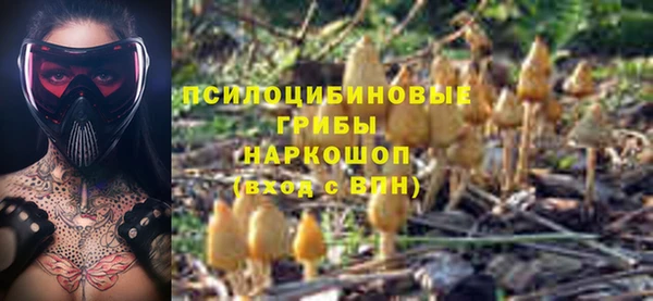 бошки Алзамай