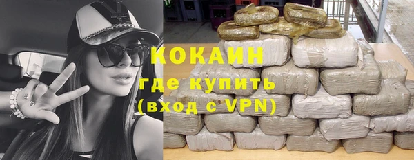 стафф Алексин