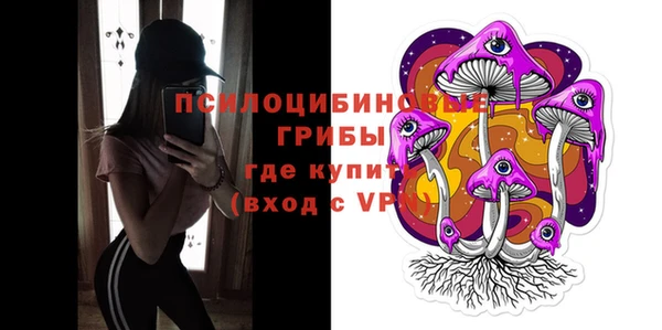 стафф Алексин