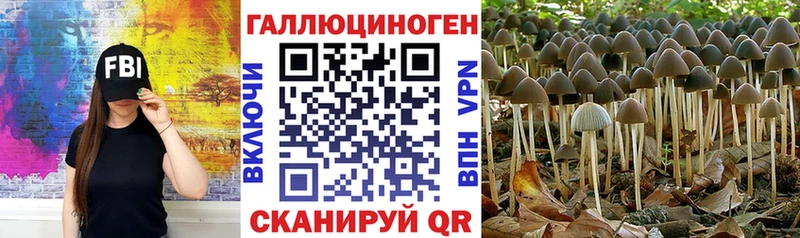 Галлюциногенные грибы Psilocybine cubensis  Алзамай 